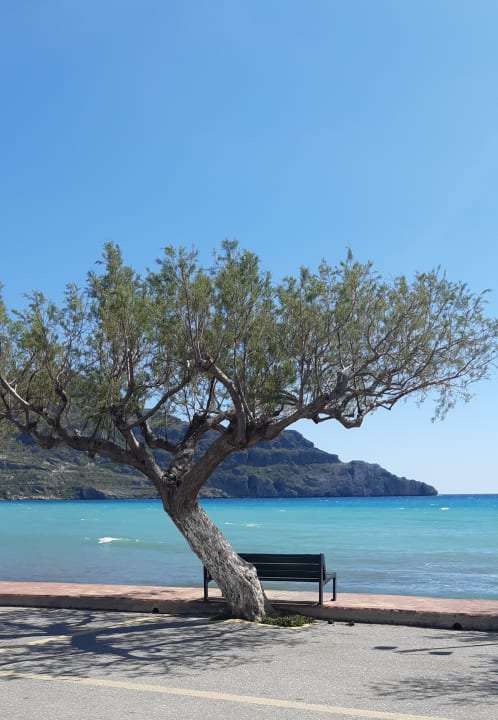 Strand Apollo Apartments Plakias