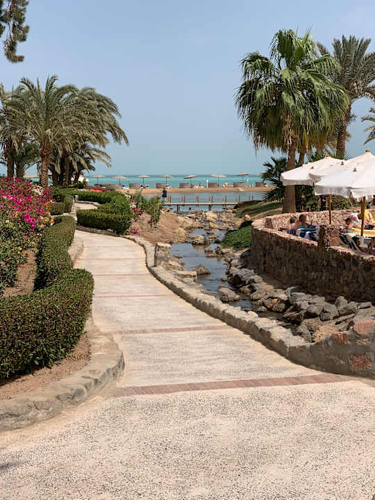 Gartenanlage Mövenpick Resort & Spa El Gouna