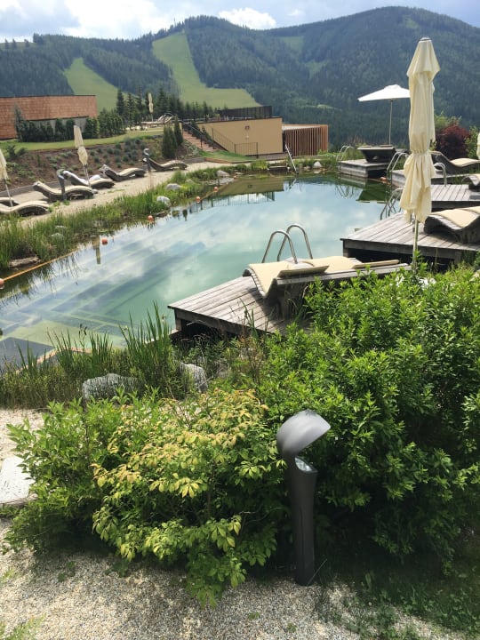 Ausblick Almwellness Hotel Pierer