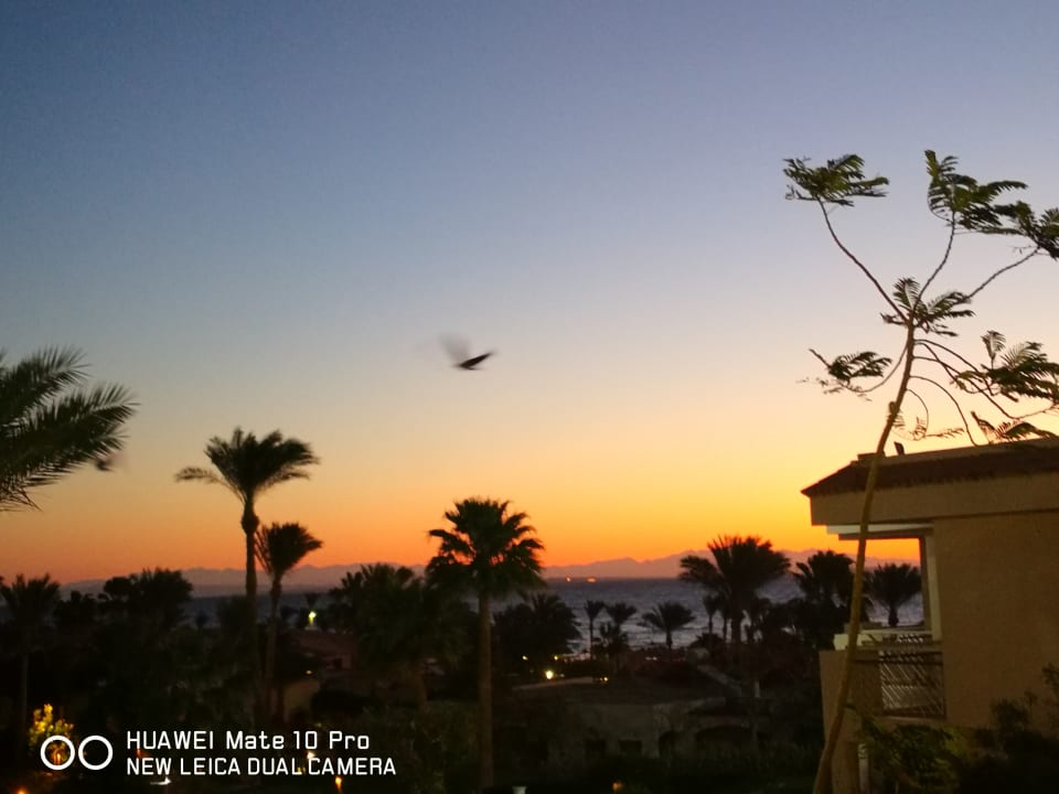 Ausblick Parrotel Beach Resort