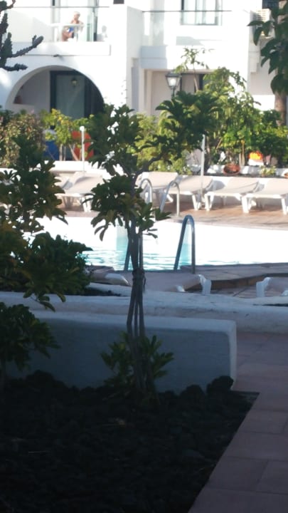 Pool Nido del Aguila Bungalows