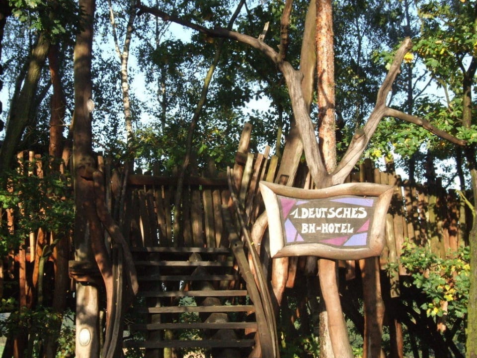 Der Aufstieg Die Geheime Welt von Turisede