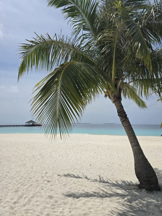 Strand Adaaran Select Meedhupparu Island Resort - Premium All Inclusive