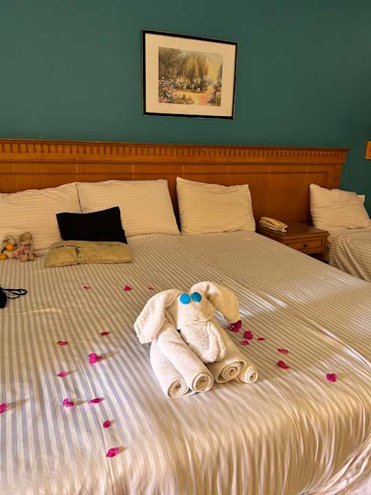 Zimmer MG Alexander The Great Hotel