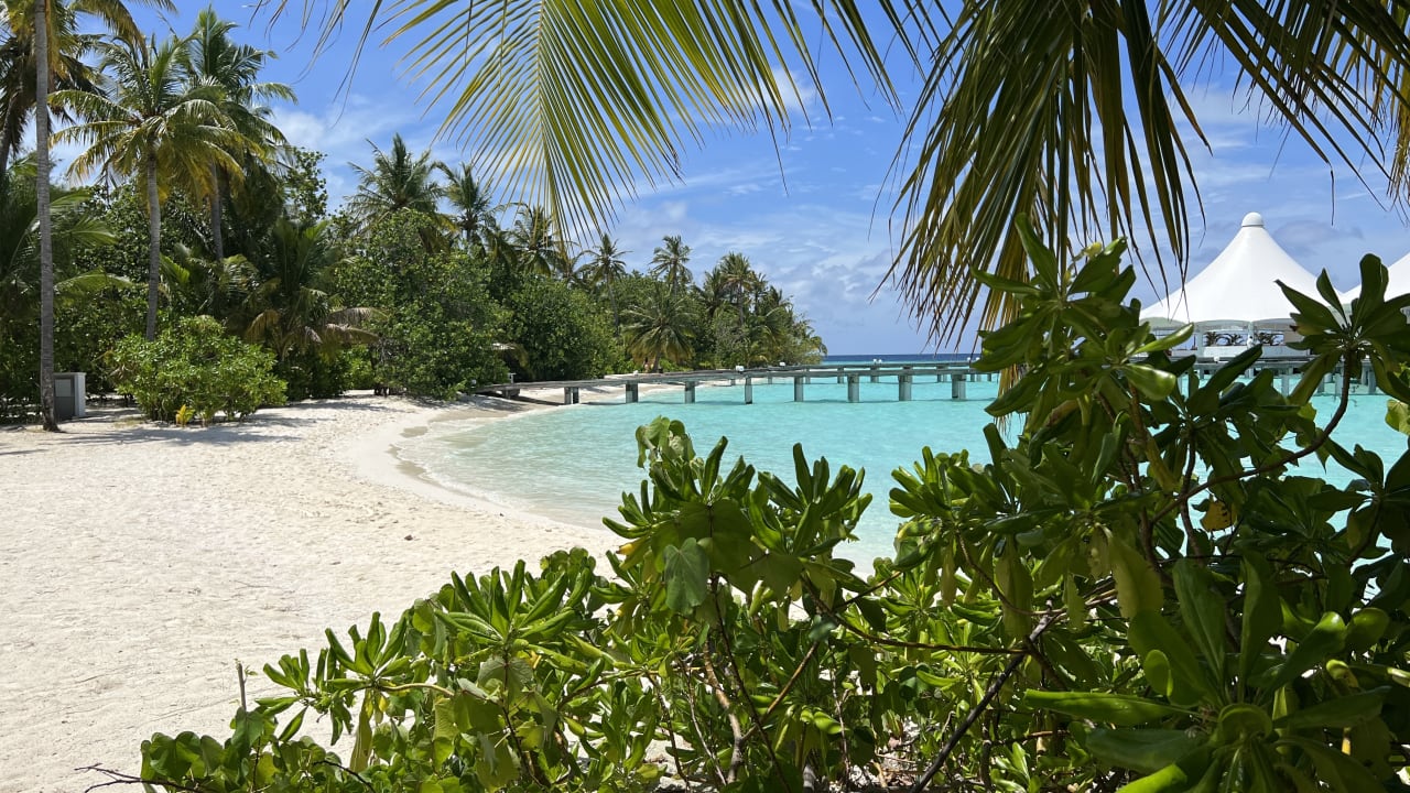 Strand Safari Island Maldives