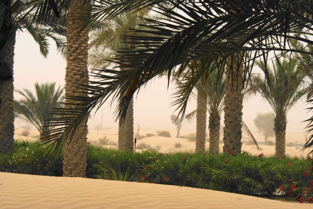 Sandsturm Hotel Bab Al Shams Desert Resort & Spa