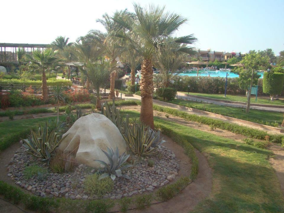 Flora und Fauna Golden Beach Resort