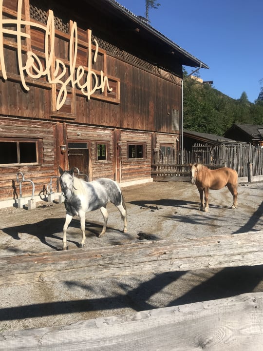 Sport & Freizeit Feriendorf Holzleb'n