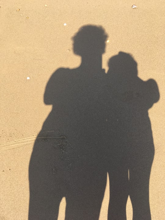 Strand Seashell Vega