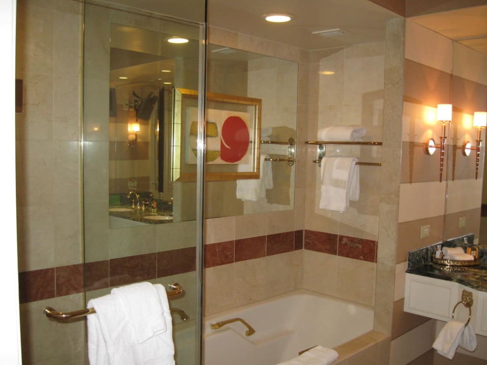 Bad The Venetian Resort & Casino