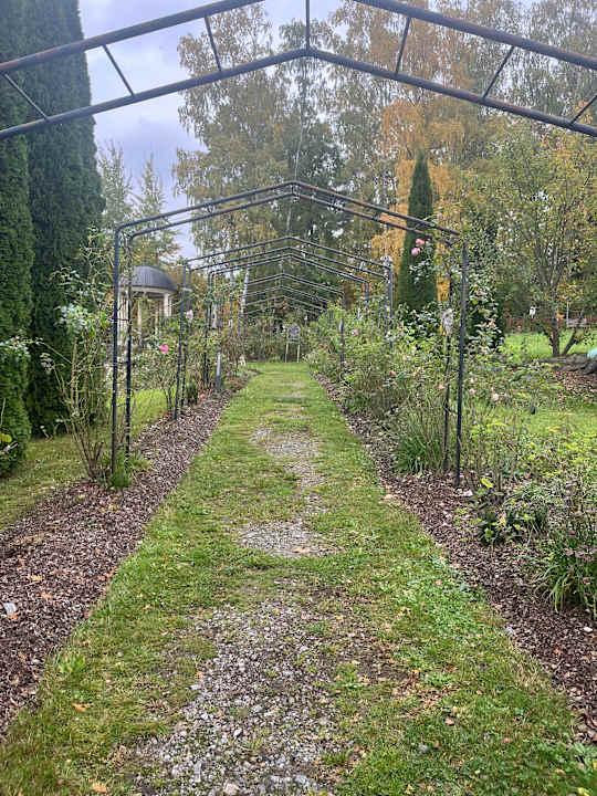 Gartenanlage Spirit & SPA Hotel Birkenhof am Elfenhain