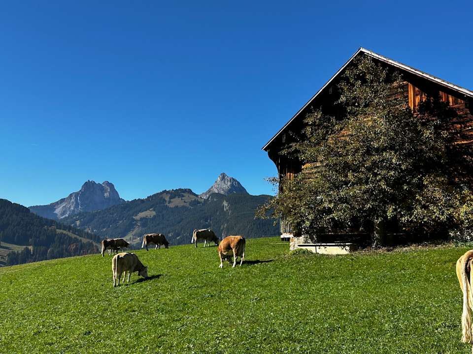 Sport & Freizeit Ermitage Wellness- & Spa-Hotel