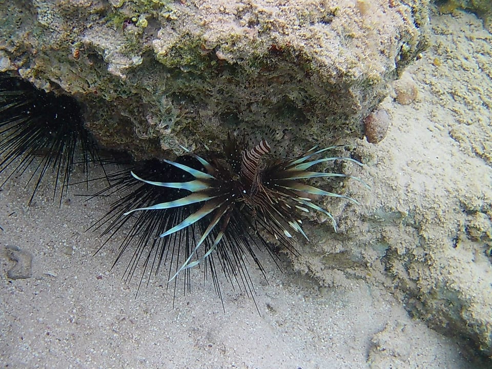 Strand Three Corners Sea Beach Resort