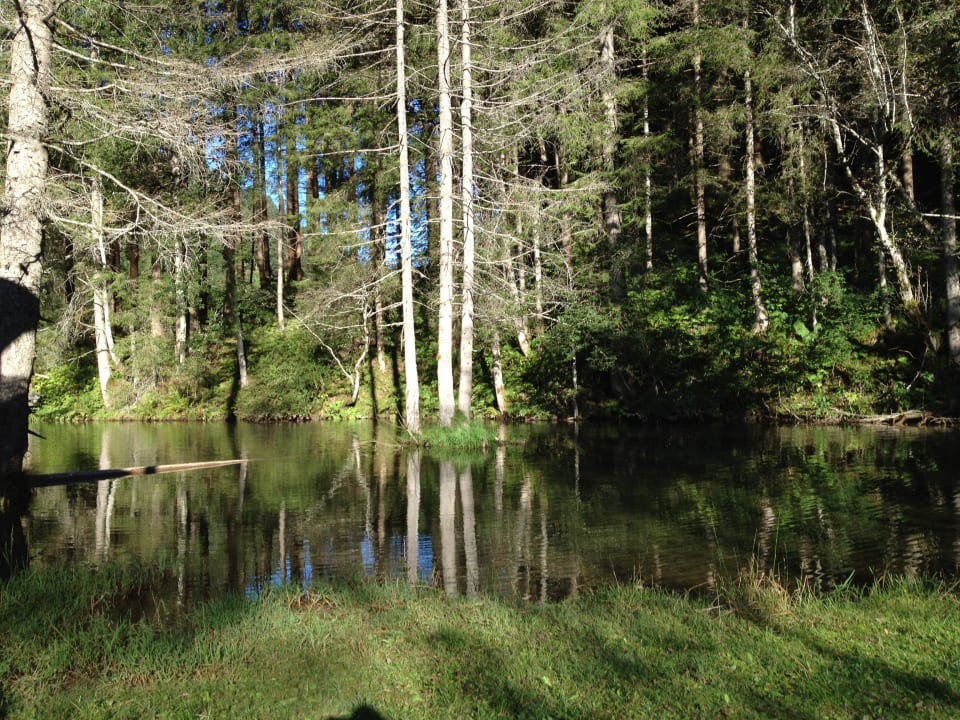 Naturteich Spa Hotel Zedern Klang