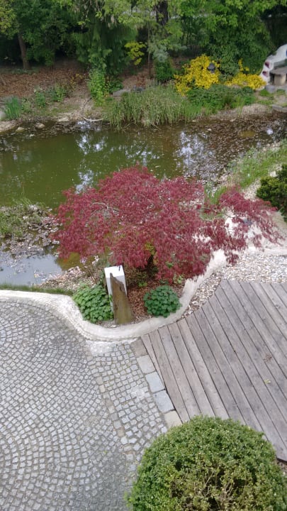 Gartenanlage Garten-Hotel Ochensberger