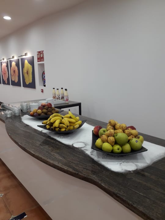 Gastro Hotel El Duque