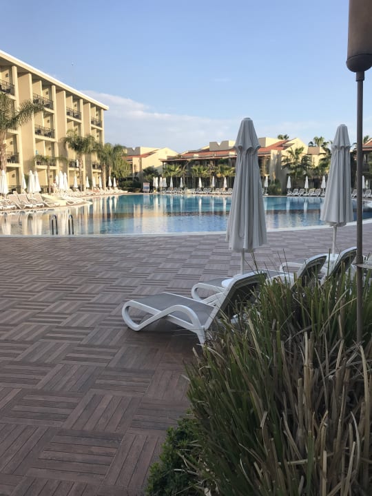 Pool Paloma Oceana