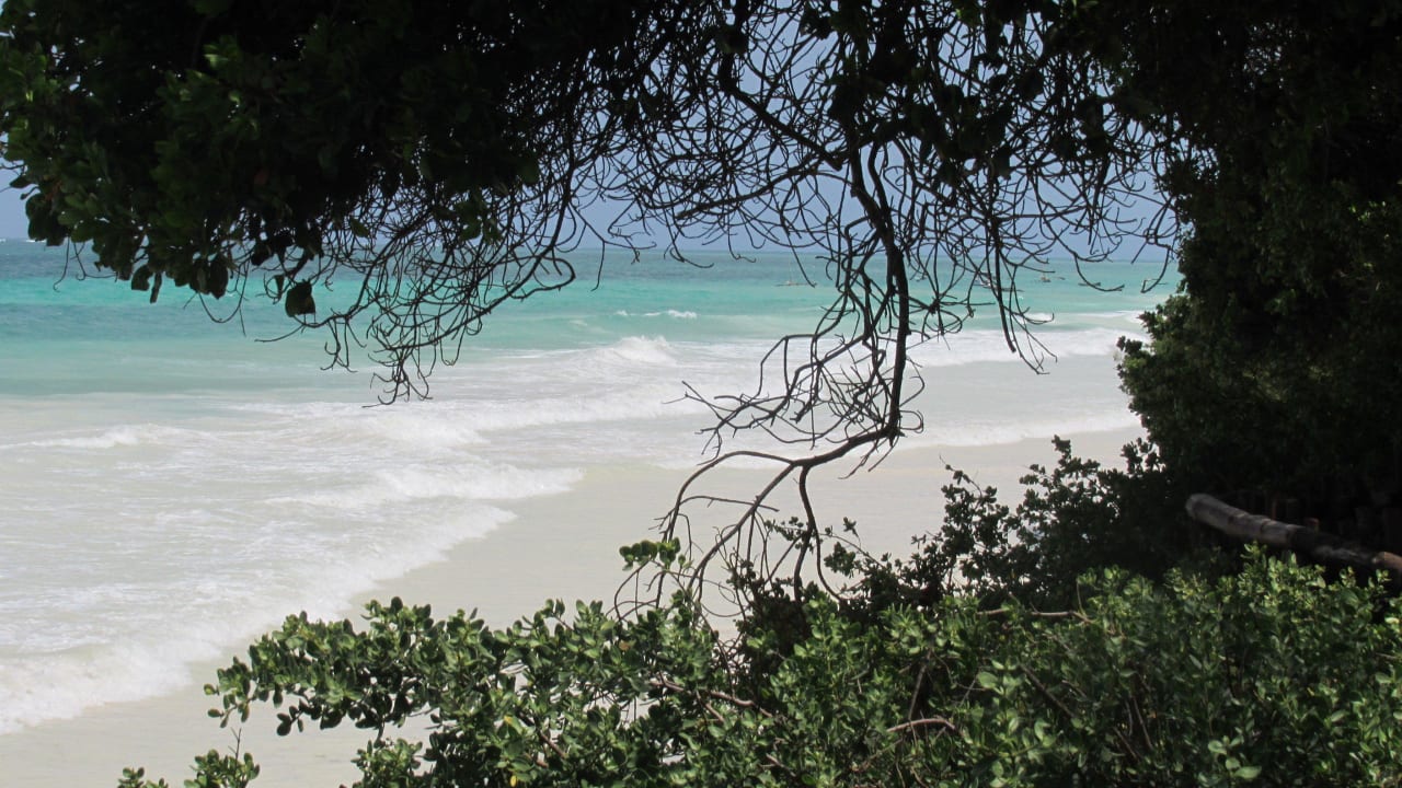 Diani Beack Baobab Beach Resort & Spa