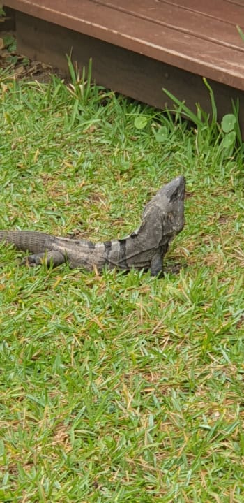 Sonstiges Akumal Bay Beach & Wellness Resort