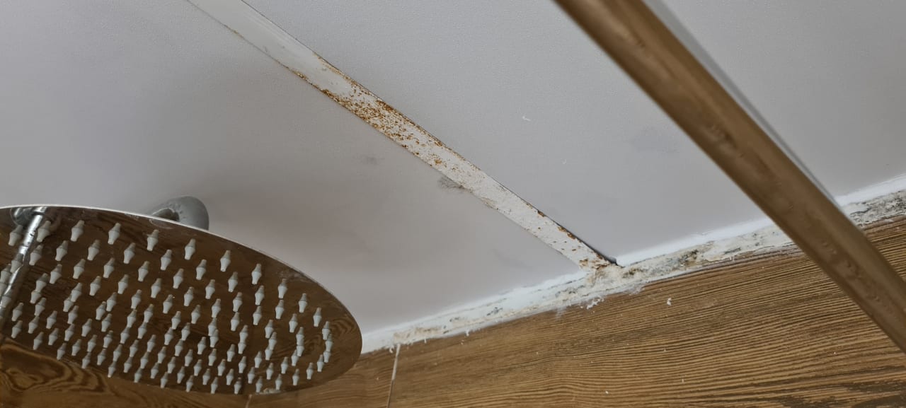 Zimmer BLUESEA Cala Millor