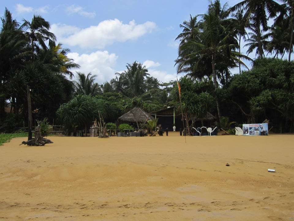Impressionen bei der Strandwanderung Mermaid Hotel & Club