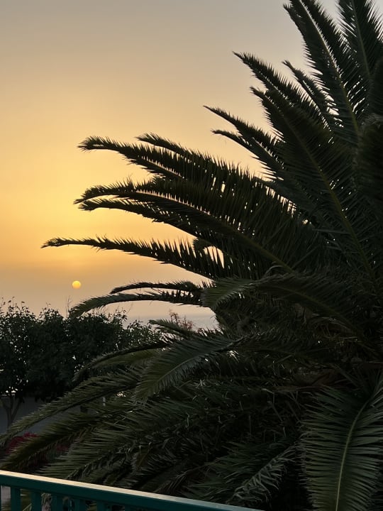 Gartenanlage Aldiana Club Fuerteventura