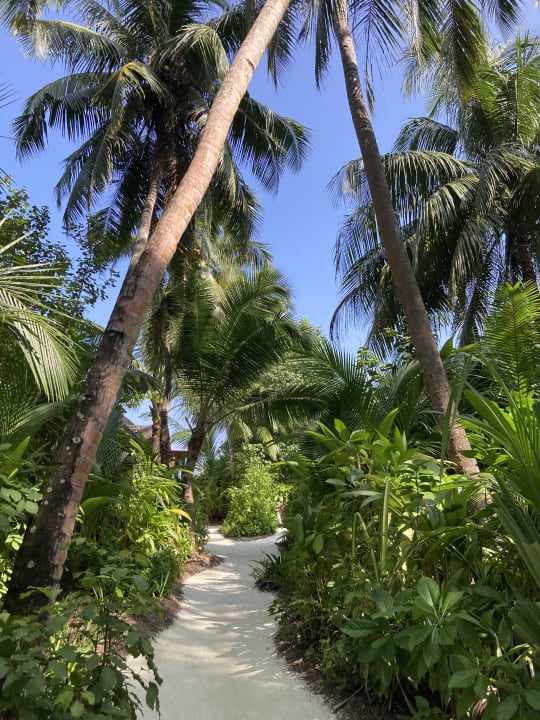 Gartenanlage Niyama Private Islands Maldives