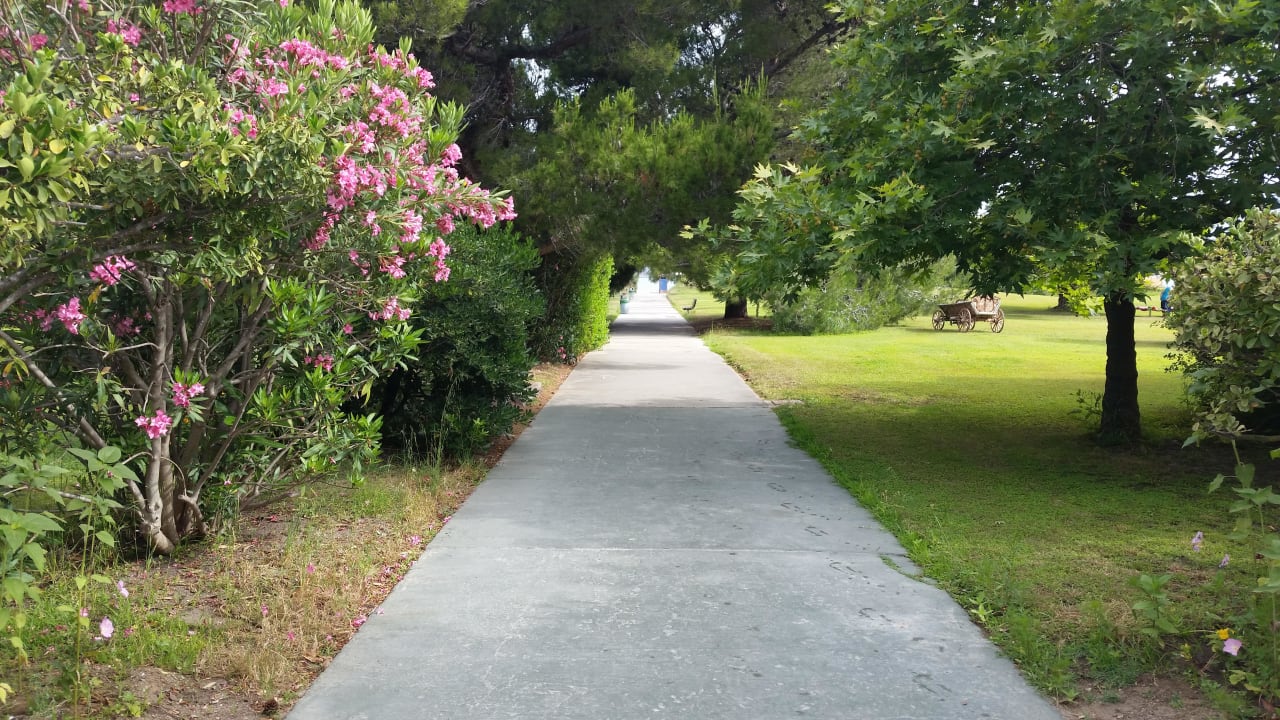 Weg zum Strand Caravia Beach Hotel