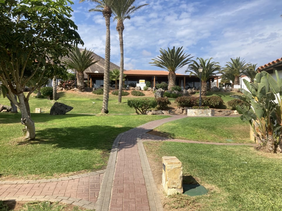 Gartenanlage TUI MAGIC LIFE Fuerteventura