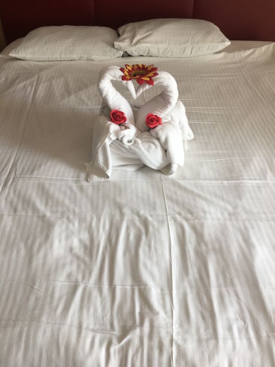 Zimmer Hotel Delphin Imperial