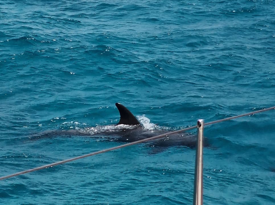 Sonstiges Cleopatra Luxury Resort Makadi Bay