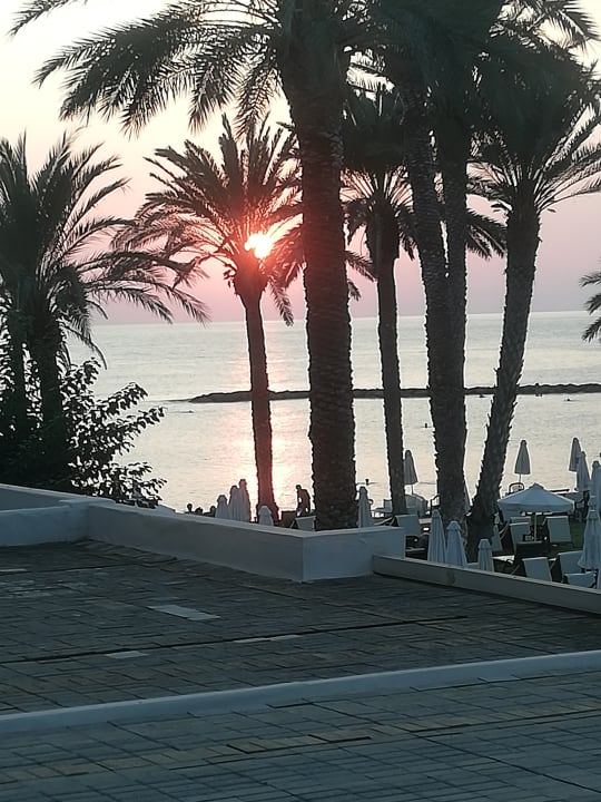 Ausblick TUI BLUE Pioneer Beach