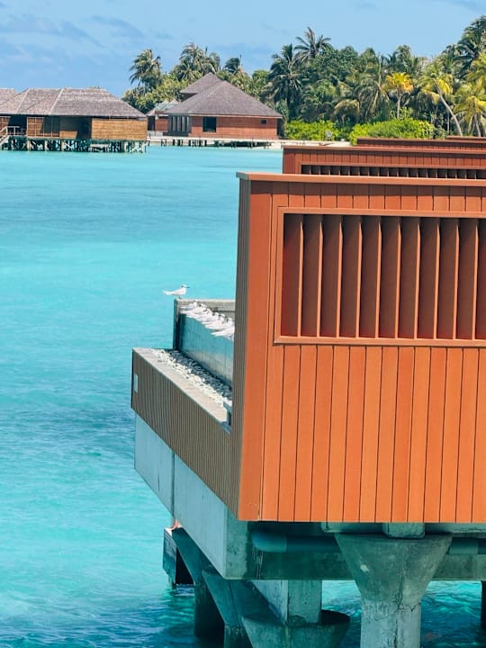 Zimmer Veligandu Maldives Resort Island