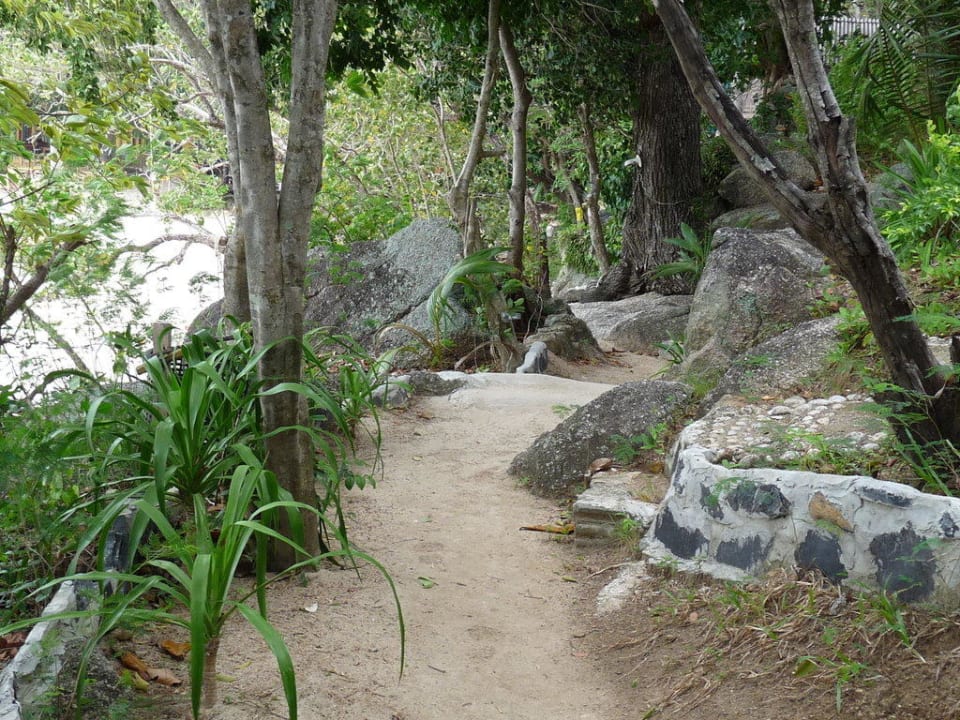 Verbindungsweg vom Santhiya Resort Santhiya Koh Phangan Resort & Spa