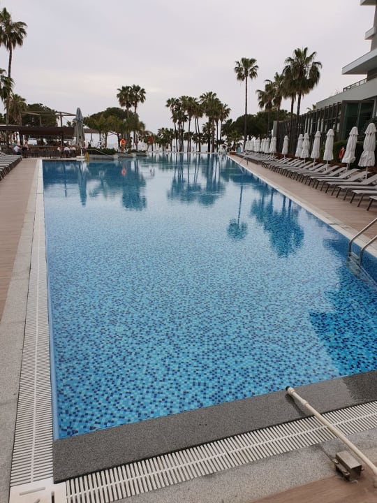 Pool Acanthus Cennet Barut Collection
