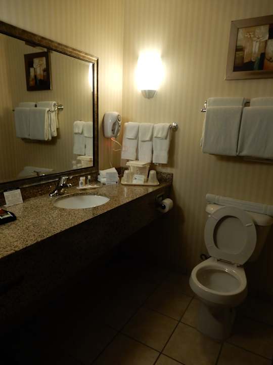 Zimmer Comfort Suites Fort Stockton