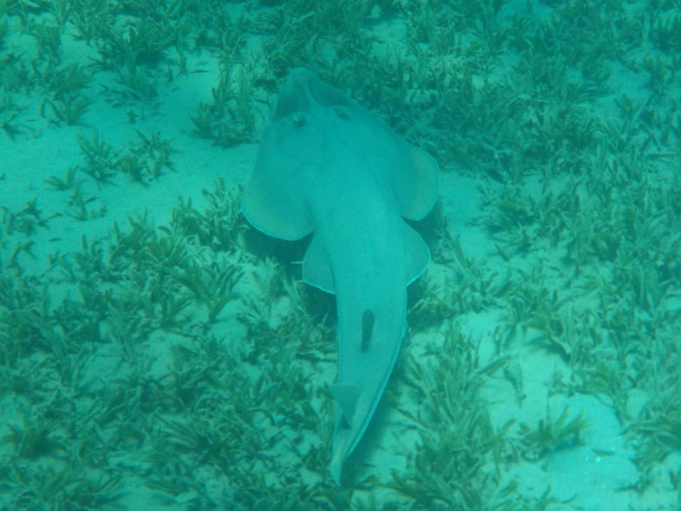 2016 Shams Alam Beach Resort