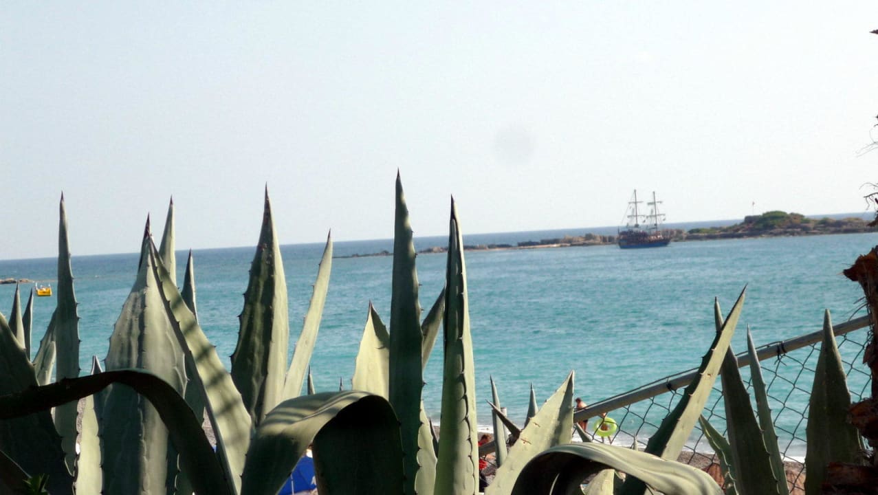 Am Ruhepool/ Island Bar Botanik Hotel & Resort