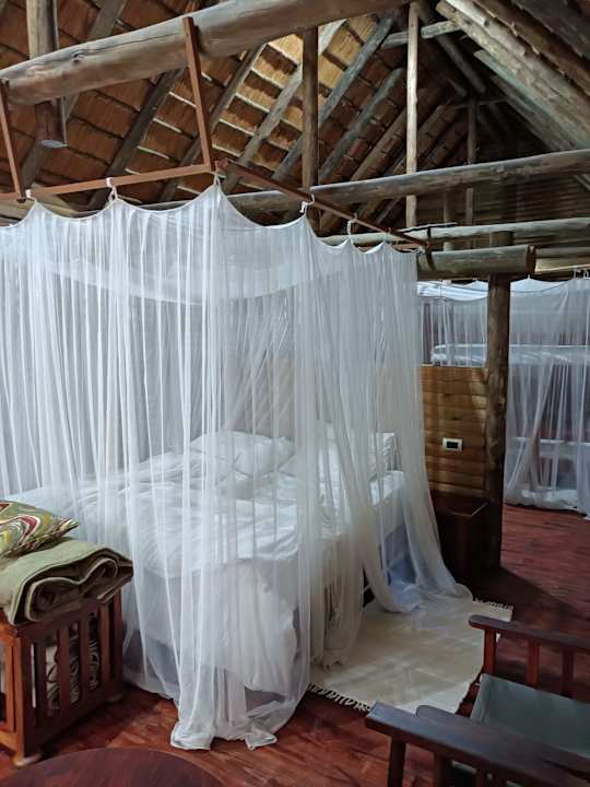 Zimmer Nata Lodge