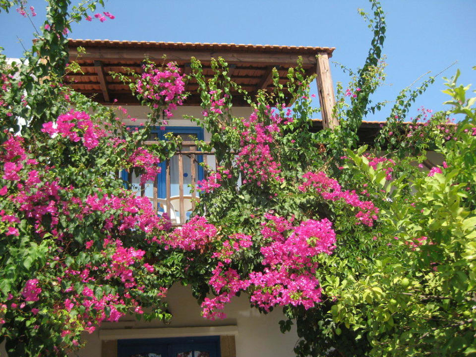 Außenansicht Hotel Hotel Lindos Sun