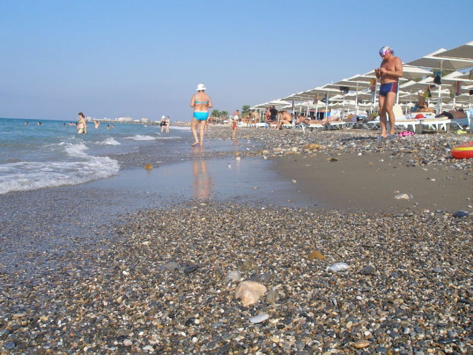 Rocky beach Aydinbey Gold Dreams