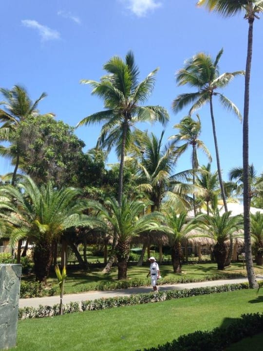 Der "Streichelzoo" Grand Palladium Punta Cana Resort & Spa