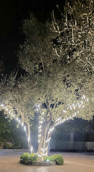 Gartenanlage Dosi Hotel