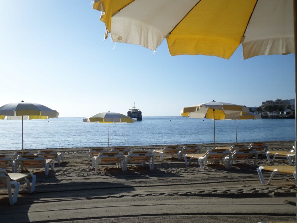 Früh am Morgen Moon Dreams Coral Beach