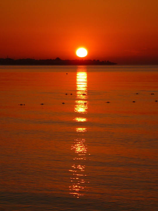 Ein Traum Hotel Paradis Palace