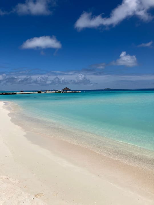 Strand Summer Island Maldives