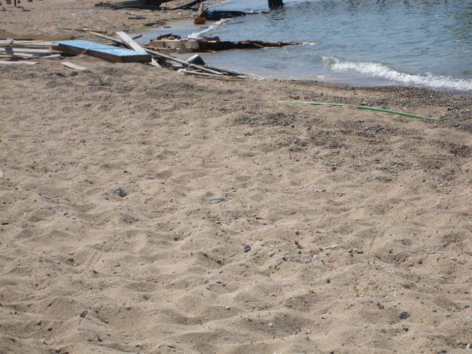 Wer mag da schwimmen Utopia Beach Club