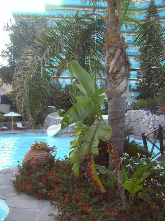 Gartenanlage Hotel Calypso Beach
