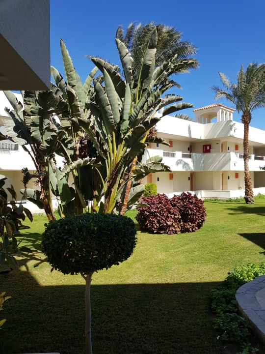 Ausblick Pickalbatros Dana Beach Resort - Hurghada