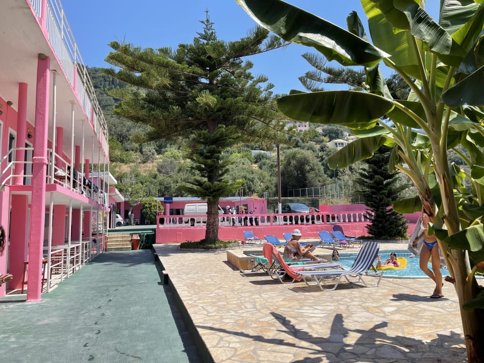 Pool The Pink Palace Hostel